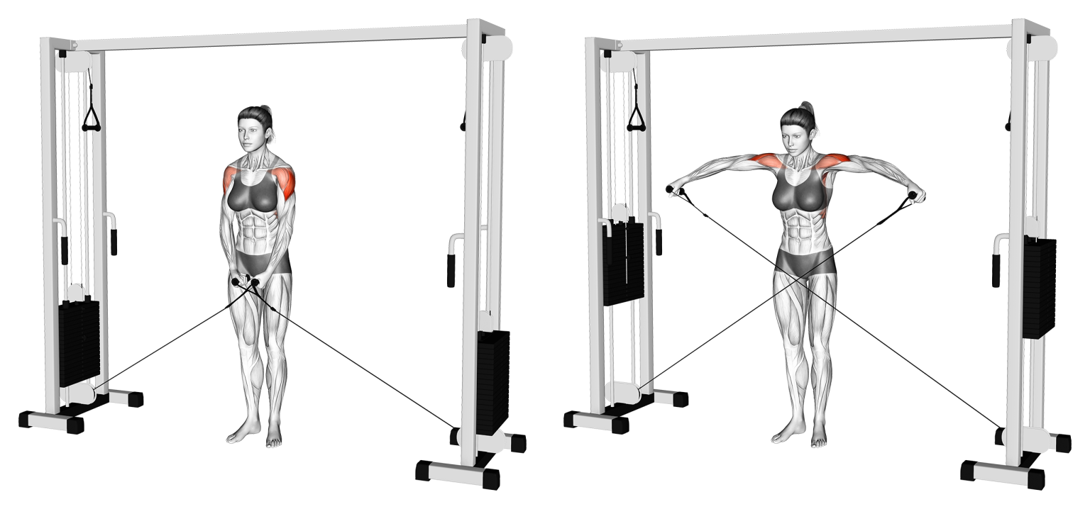 6 Best Cable Machine Shoulder Exercises (with Pictures!) Inspire US