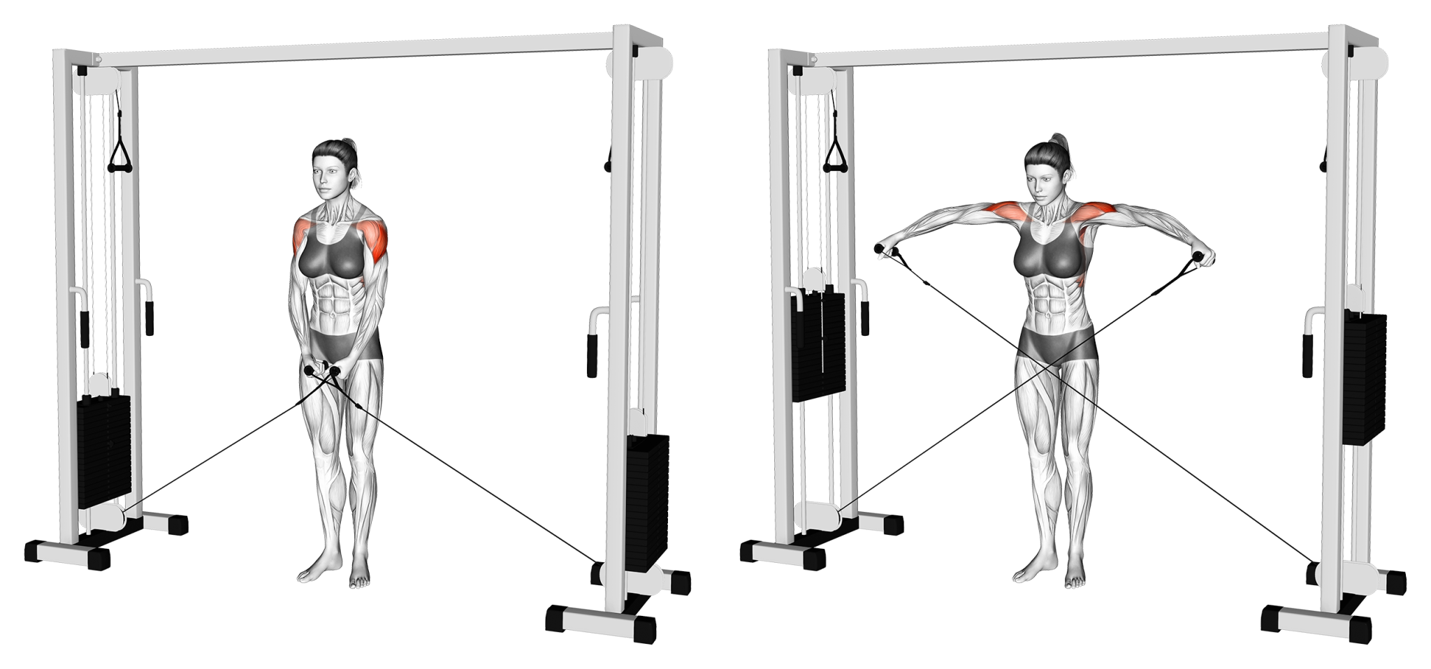 6 Best Cable Machine Shoulder Exercises (with Pictures!) Inspire US