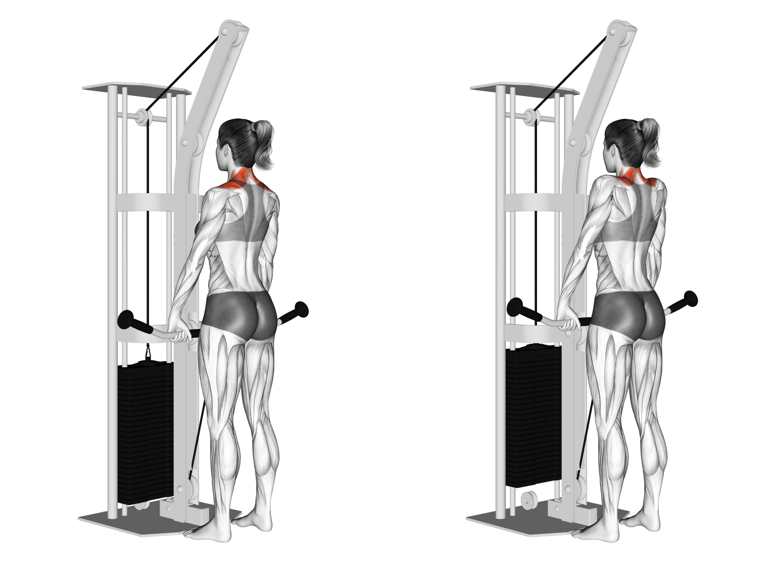 6 Best Cable Back Exercises (with Pictures!) Inspire US