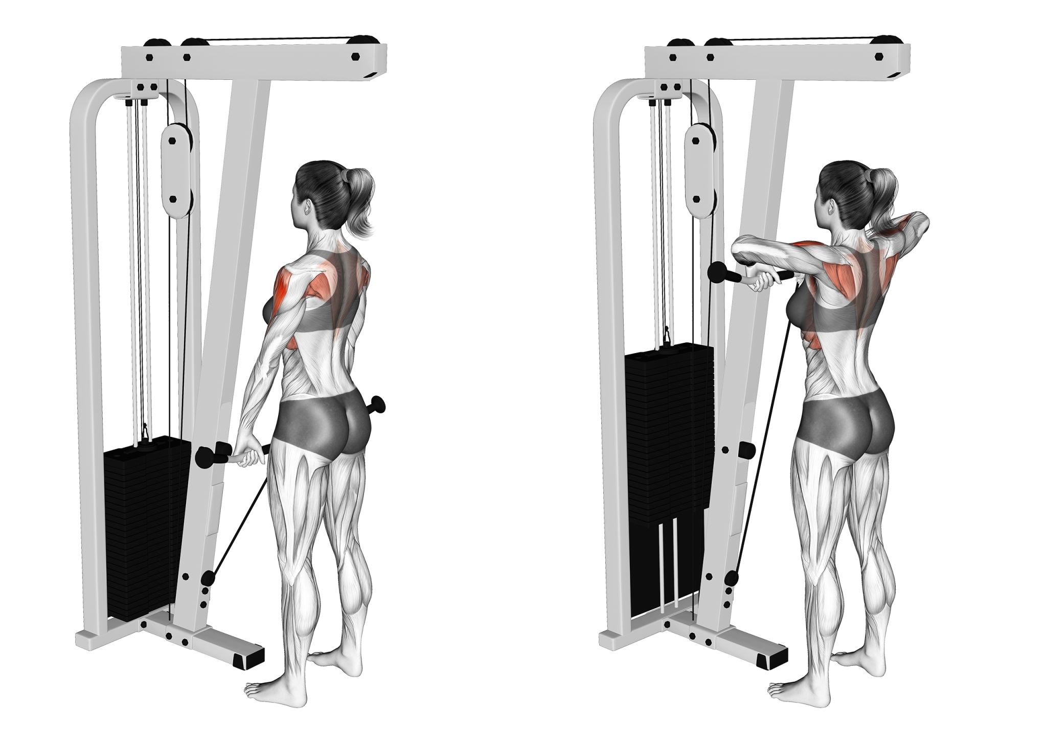 6 Best Cable Machine Shoulder Exercises (with Pictures!) - Inspire US