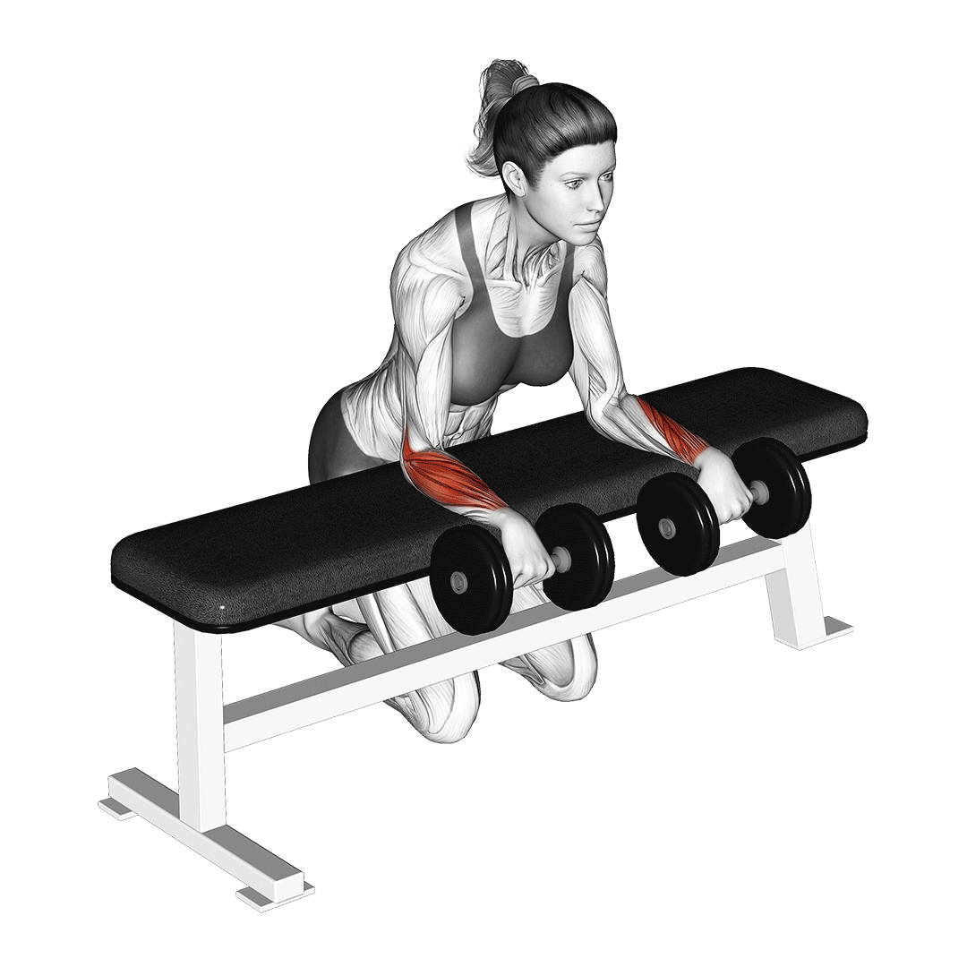 Wrist Hurts When Doing Pushups / After Pushups Signs, Stretches, and