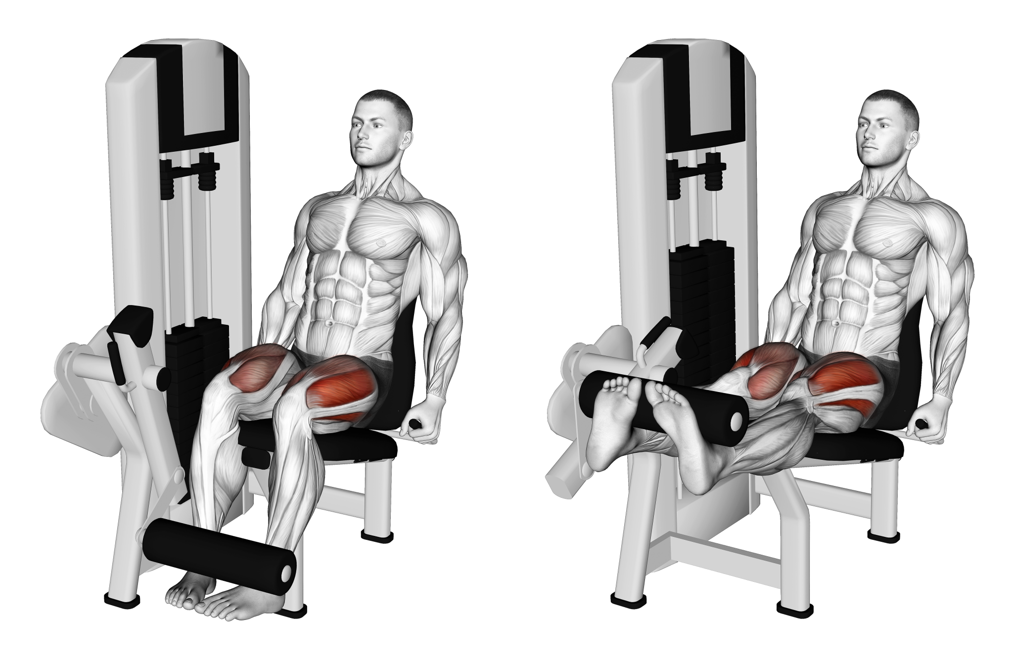 6 Best Outer Quad Exercises (with Pictures!) Inspire US