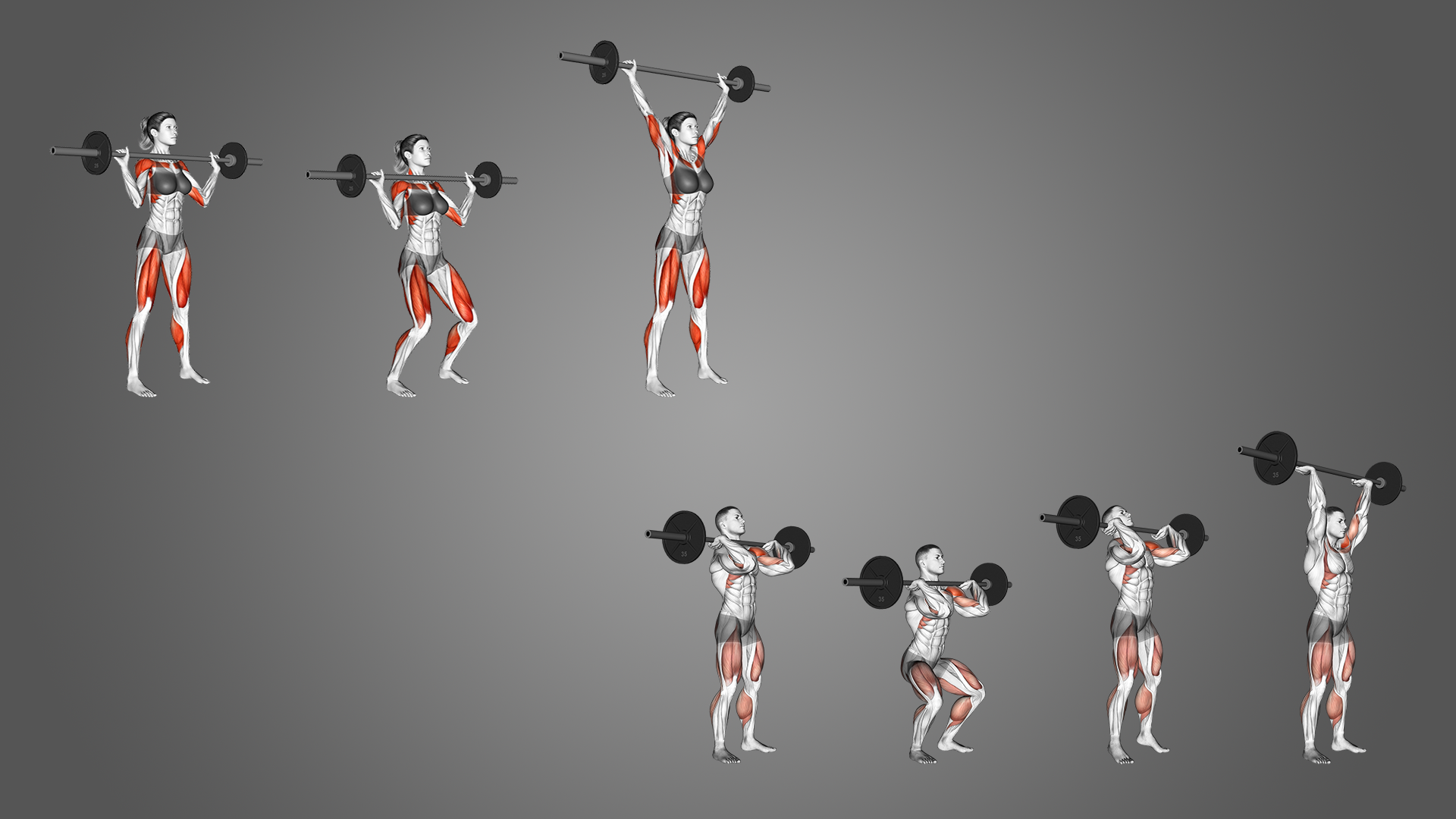 Push Jerk vs Push Press The Differences Explained Inspire US