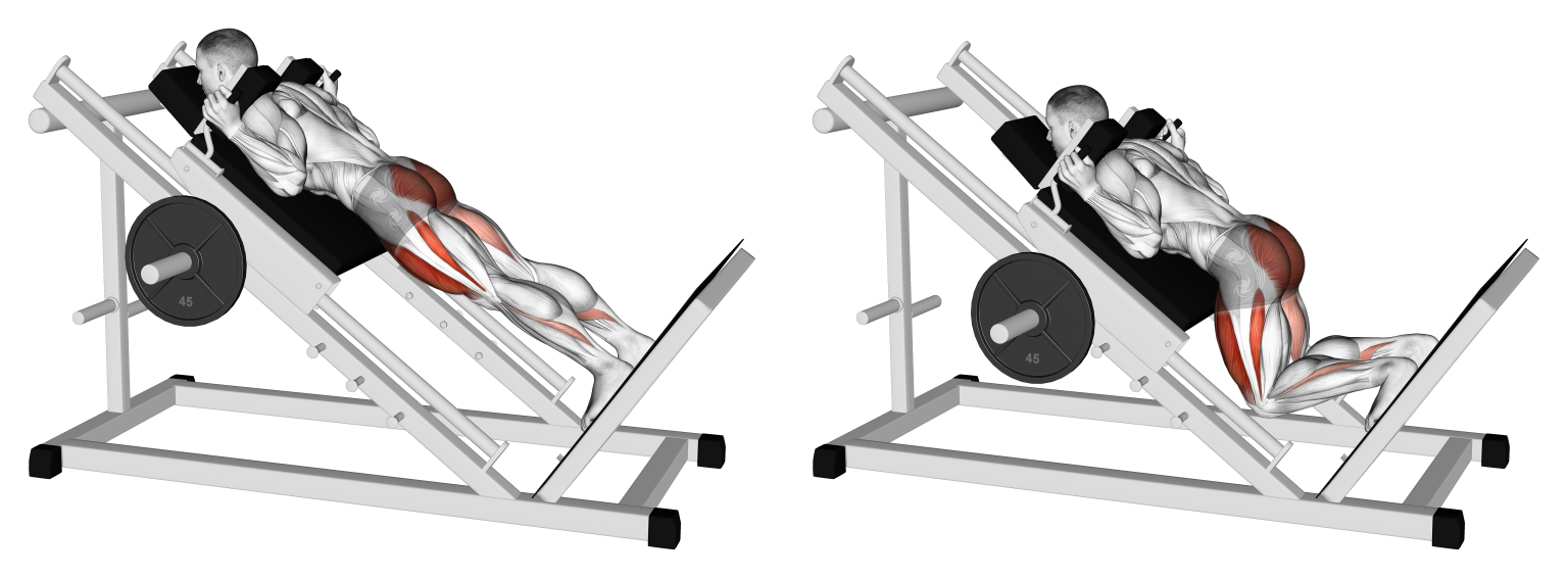 Reverse Hack Squat Machine Benefits, Muscles Worked, and More Inspire US