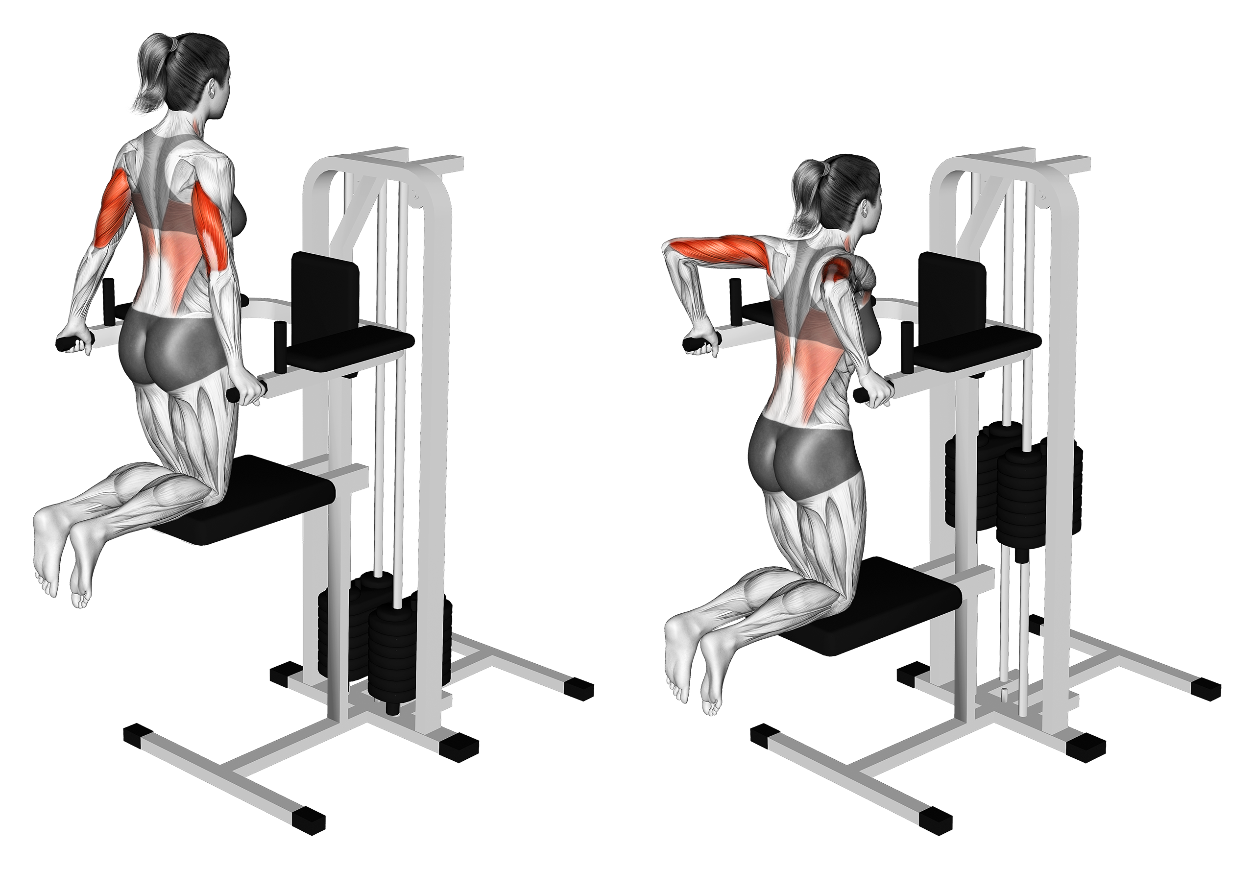 7 Best Dip Variations (with Pictures!) Inspire US