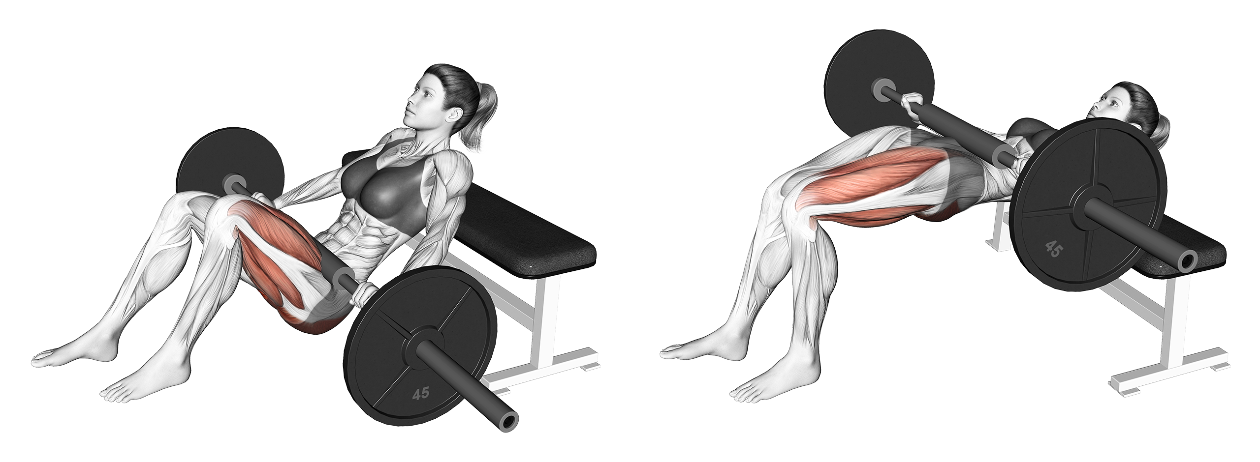 7 Best Hip Thrust Variations (with Pictures!) Inspire US