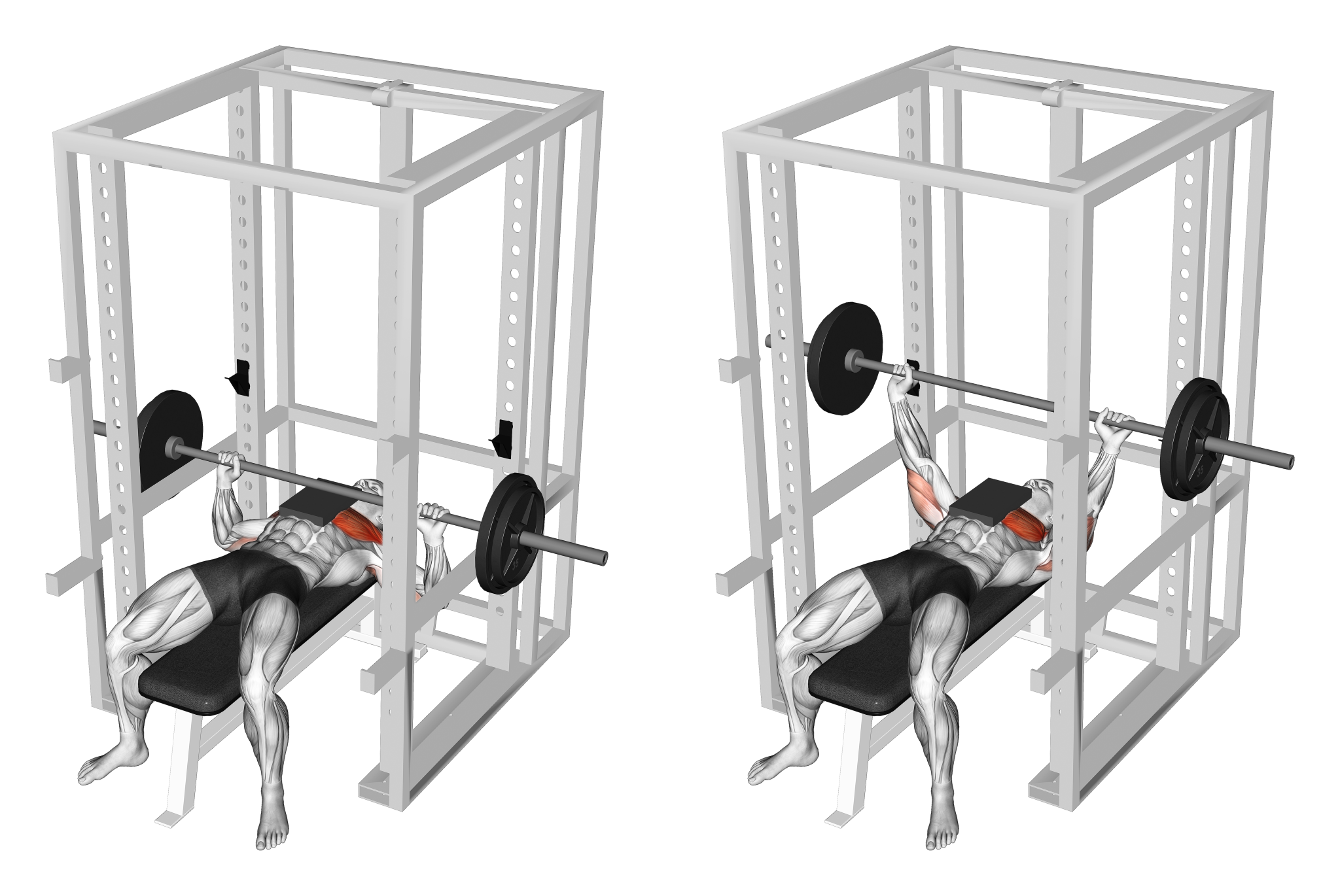 7 Best Barbell Bench Press Variations (with Pictures!) Inspire US