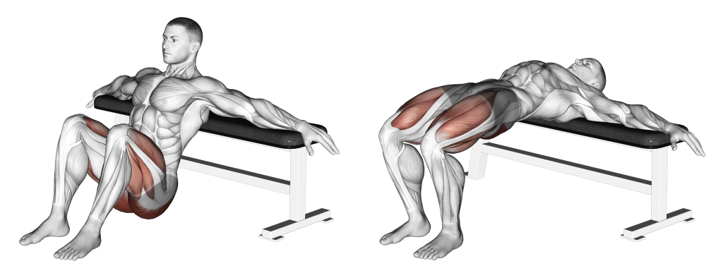 bodyweight hip thrust muscles