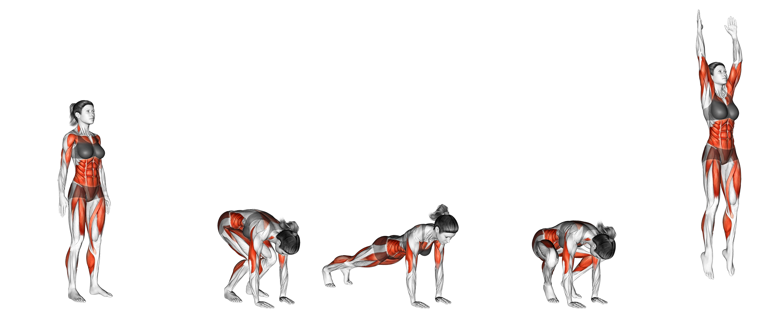 8 Best Burpee Variations with Pictures Inspire US