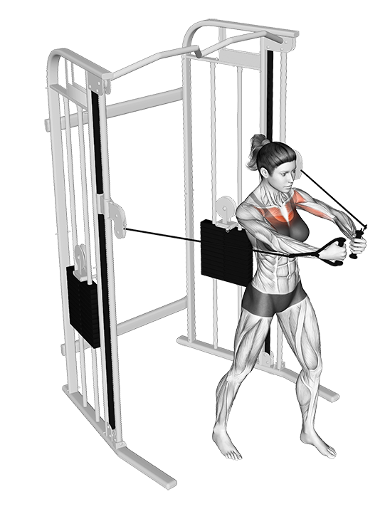 7 Best Cable Flyes Variations (with Pictures!) Inspire US