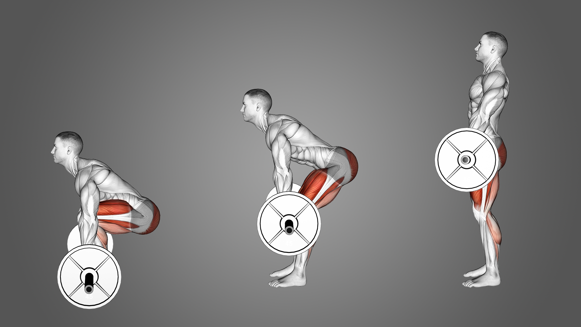 8 Best Types of Deadlift Variations (with Pictures!) Inspire US