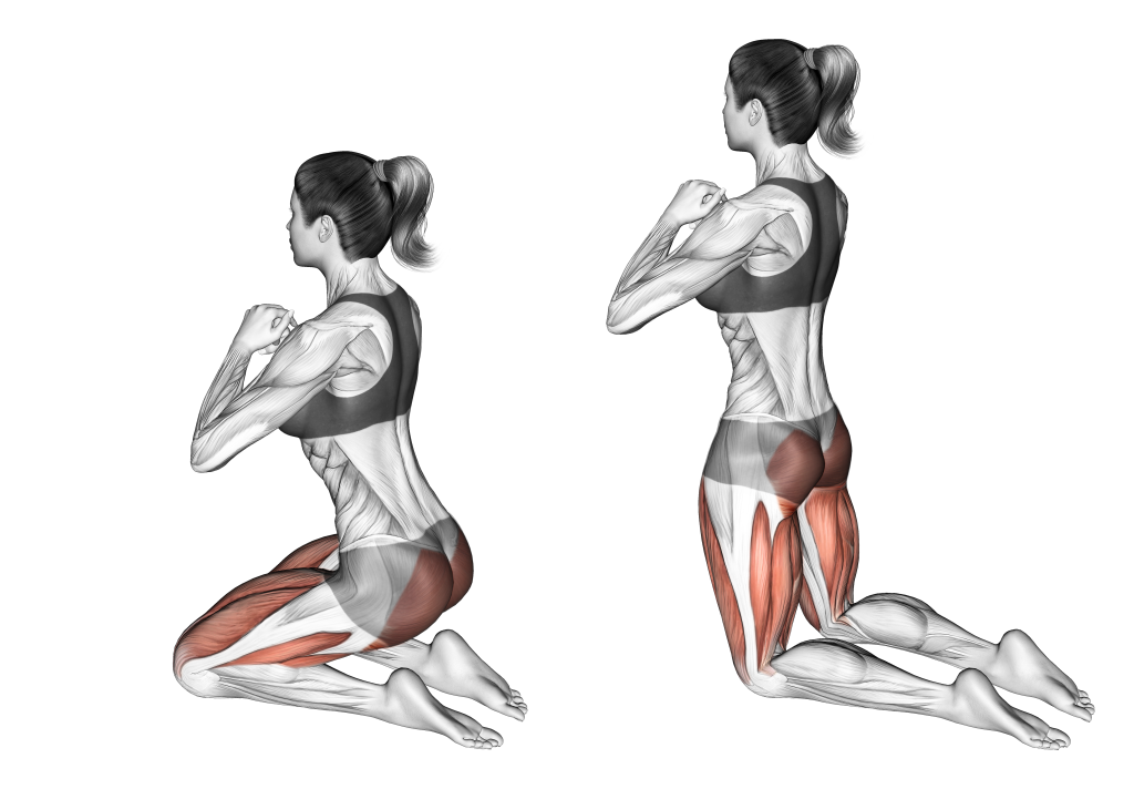 kneeling hip thrust muscles