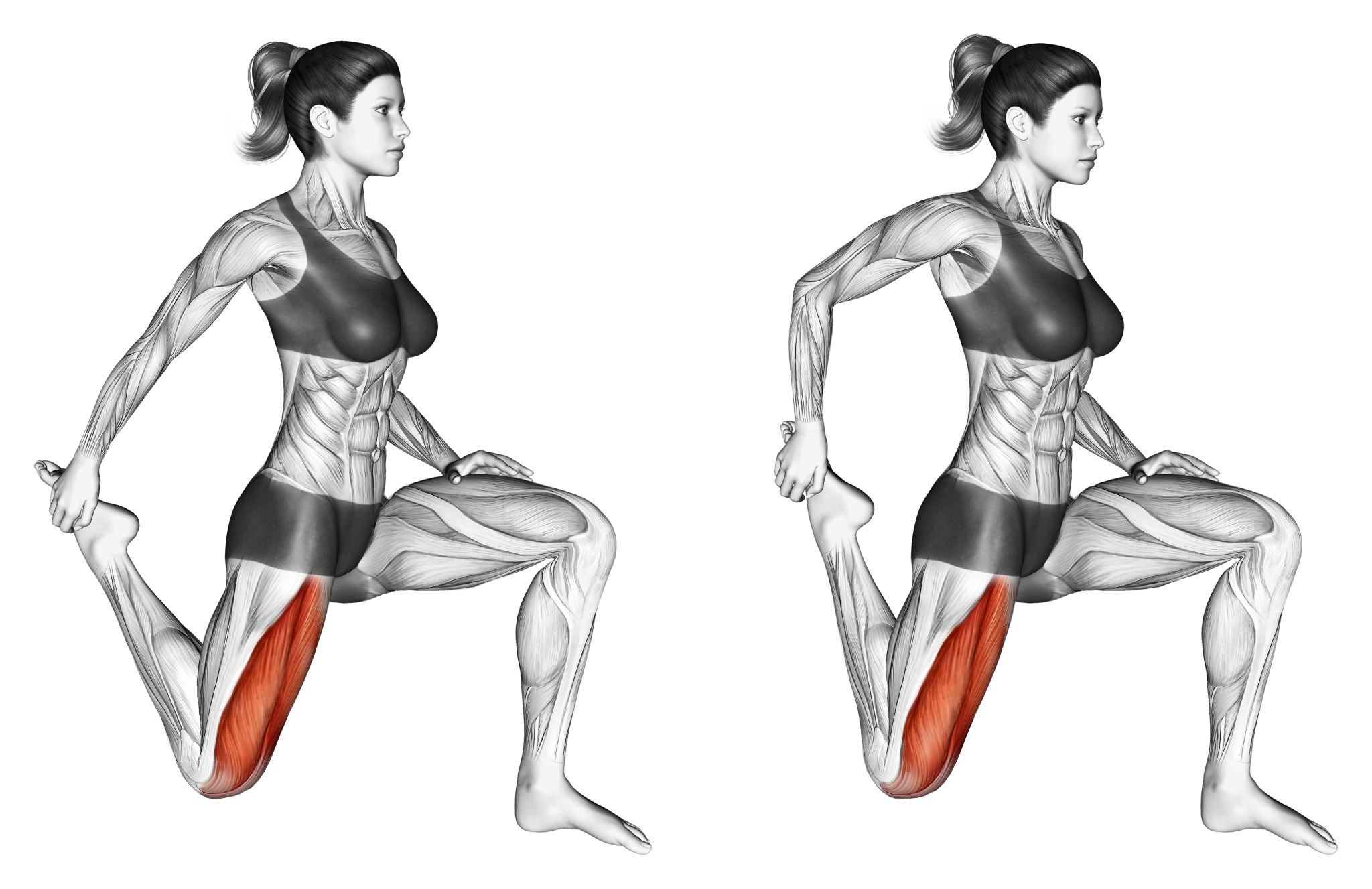 6 Best Quad Stretches (with Pictures!) Inspire US