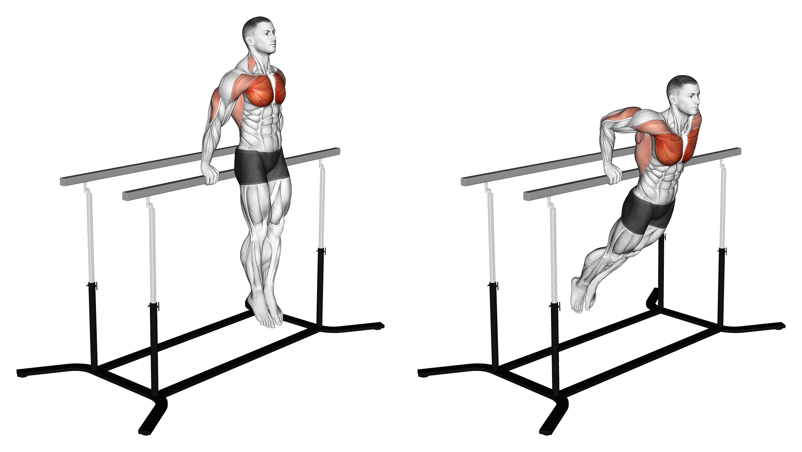 7 Best Dip Variations (with Pictures!) Inspire US