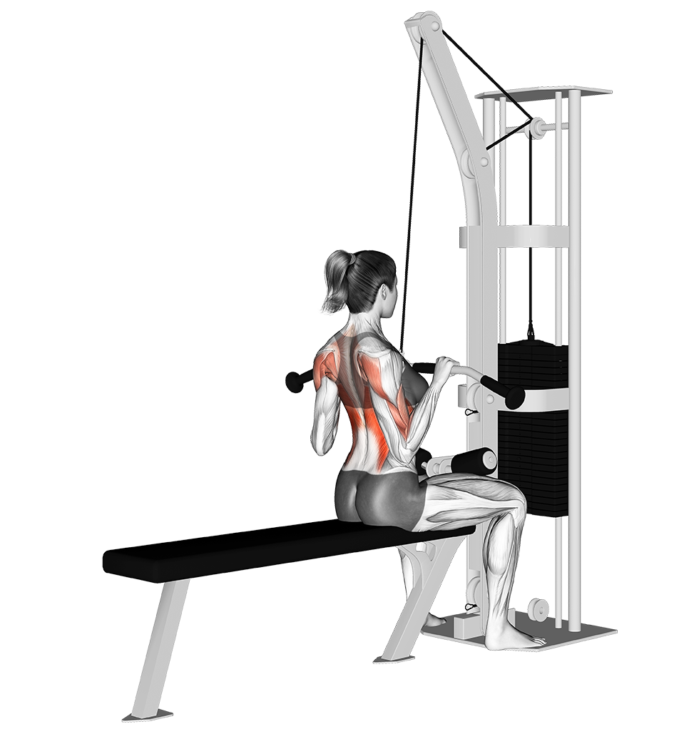 7 Best Lat Pulldown Variations (with Pictures!) Inspire US