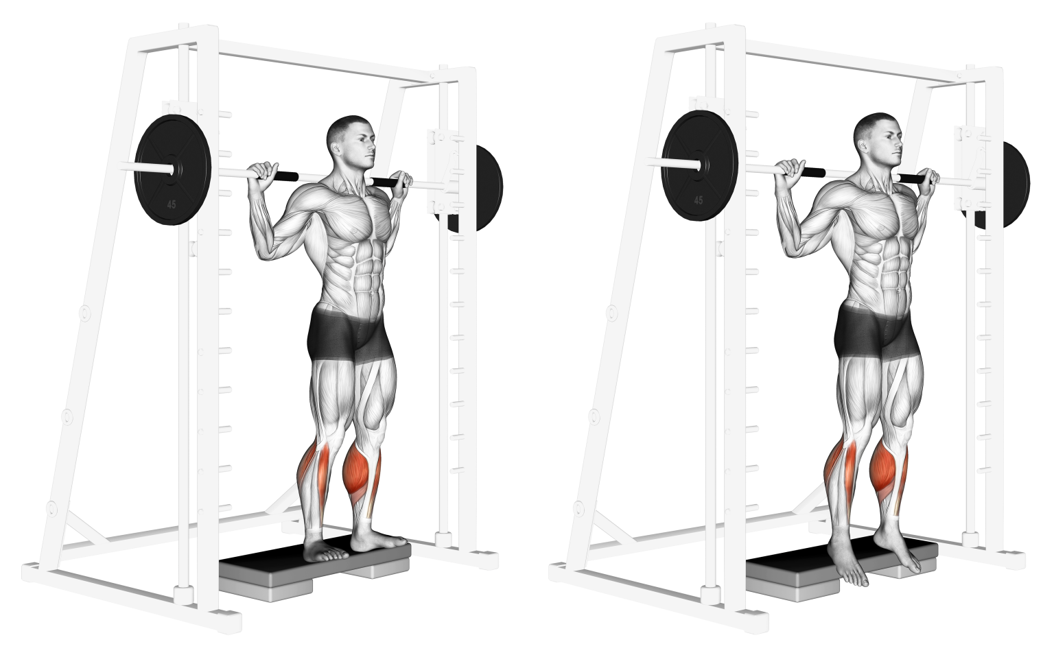 7 Best Calf Raise Variations (with Pictures!) Inspire US