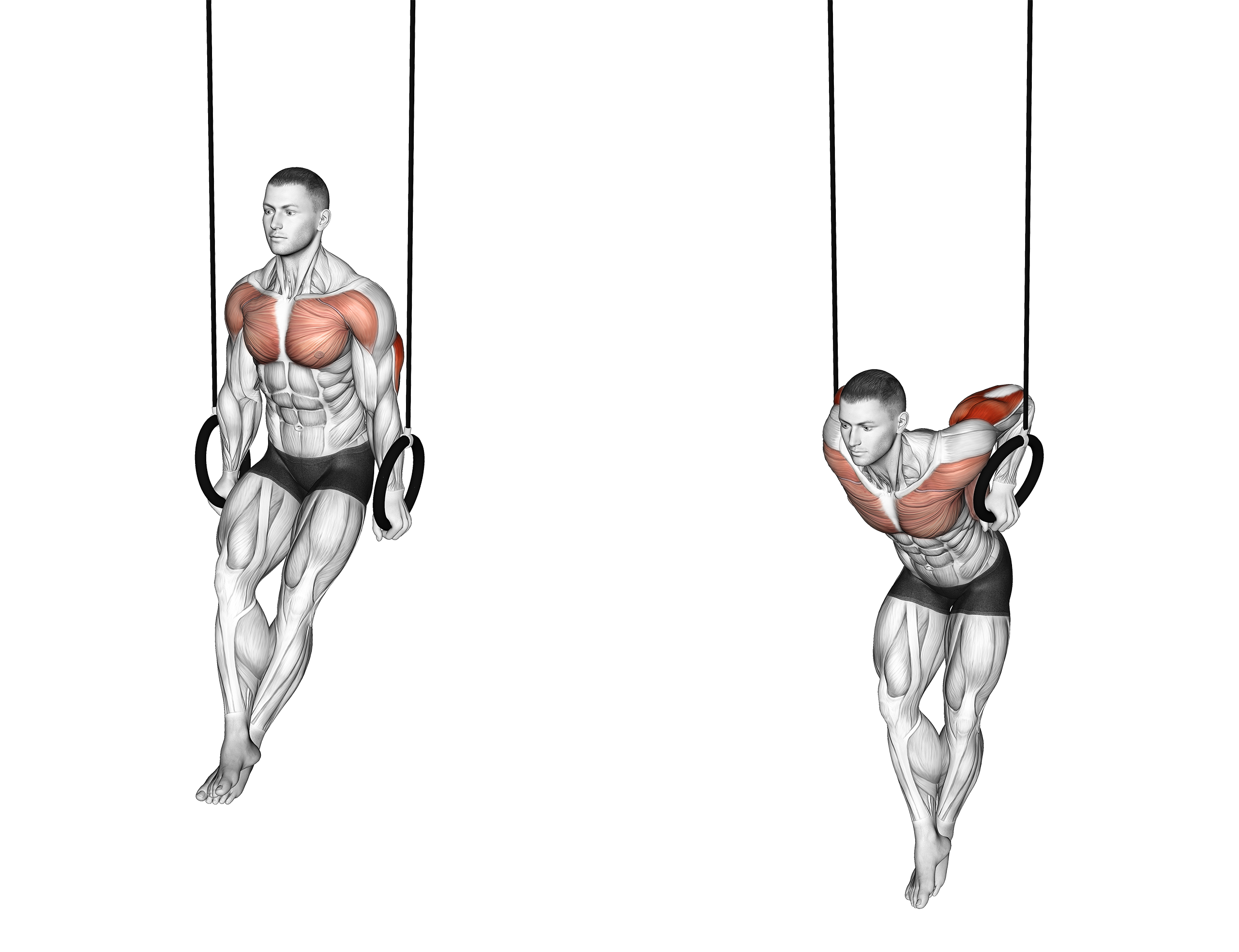 7 Best Dip Variations (with Pictures!) Inspire US