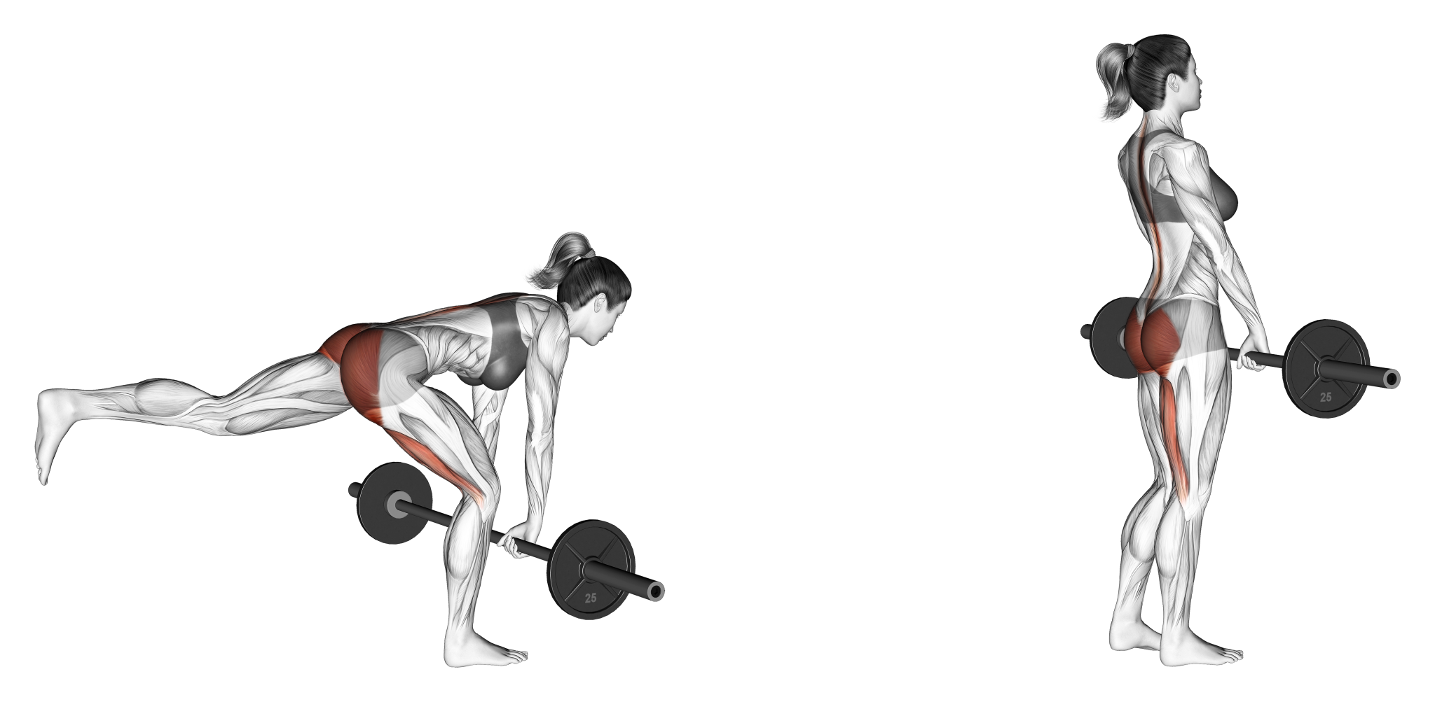 8 Best Types of Deadlift Variations (with Pictures!) Inspire US