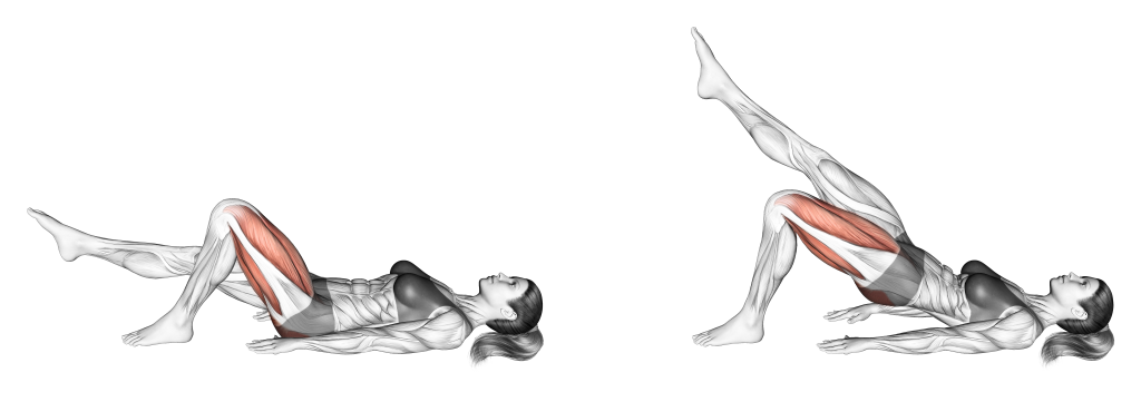 single leg glute bridge muscles