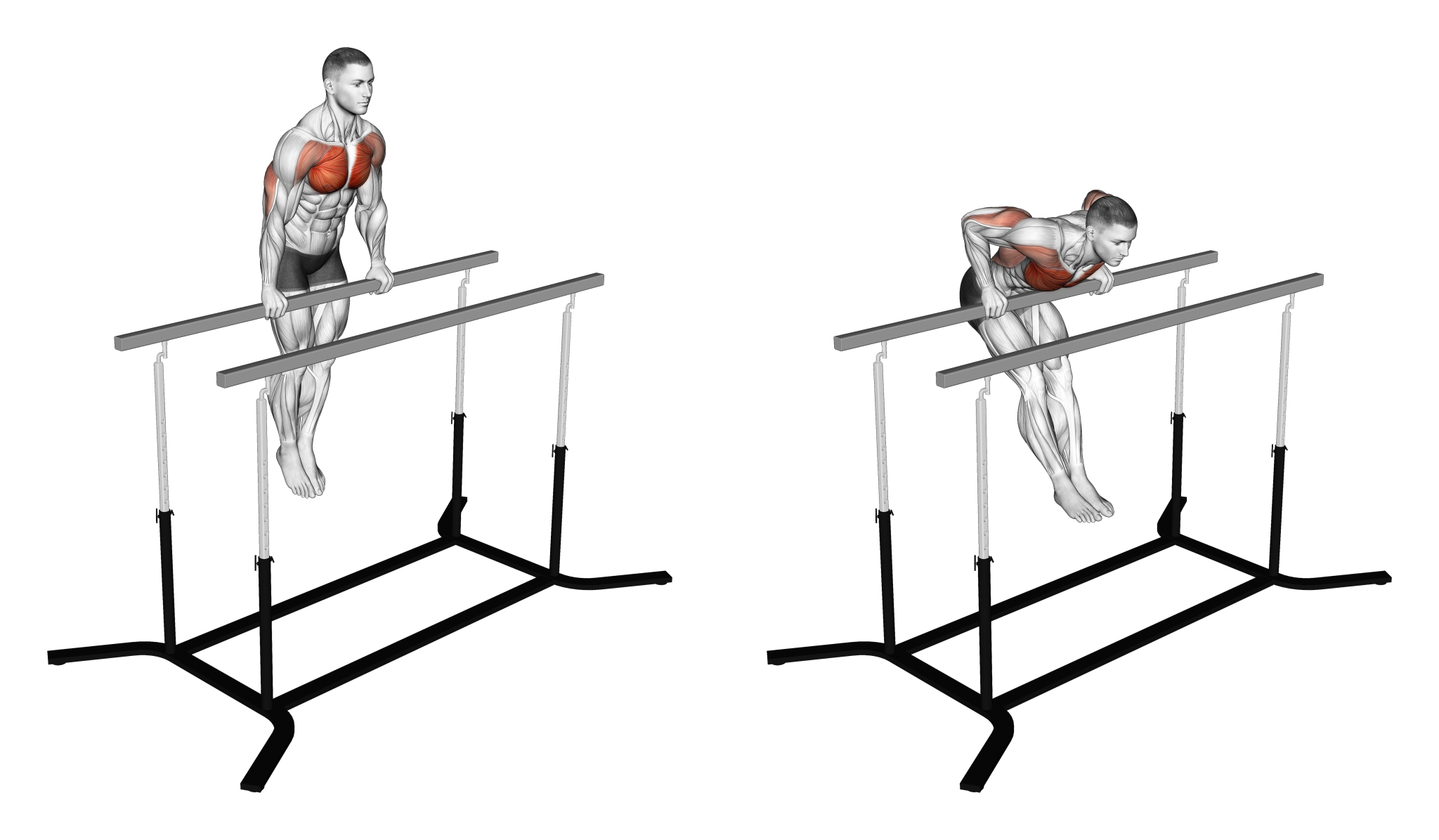 7 Best Dip Variations (with Pictures!) Inspire US