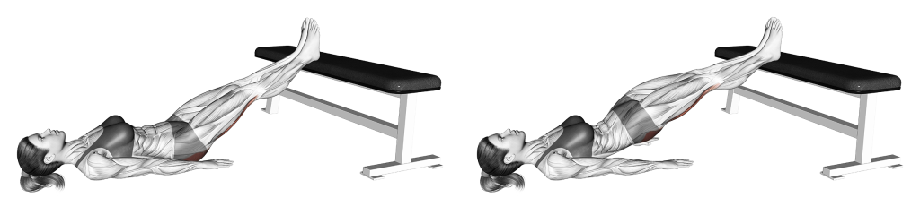 straight leg glute bridge muscles