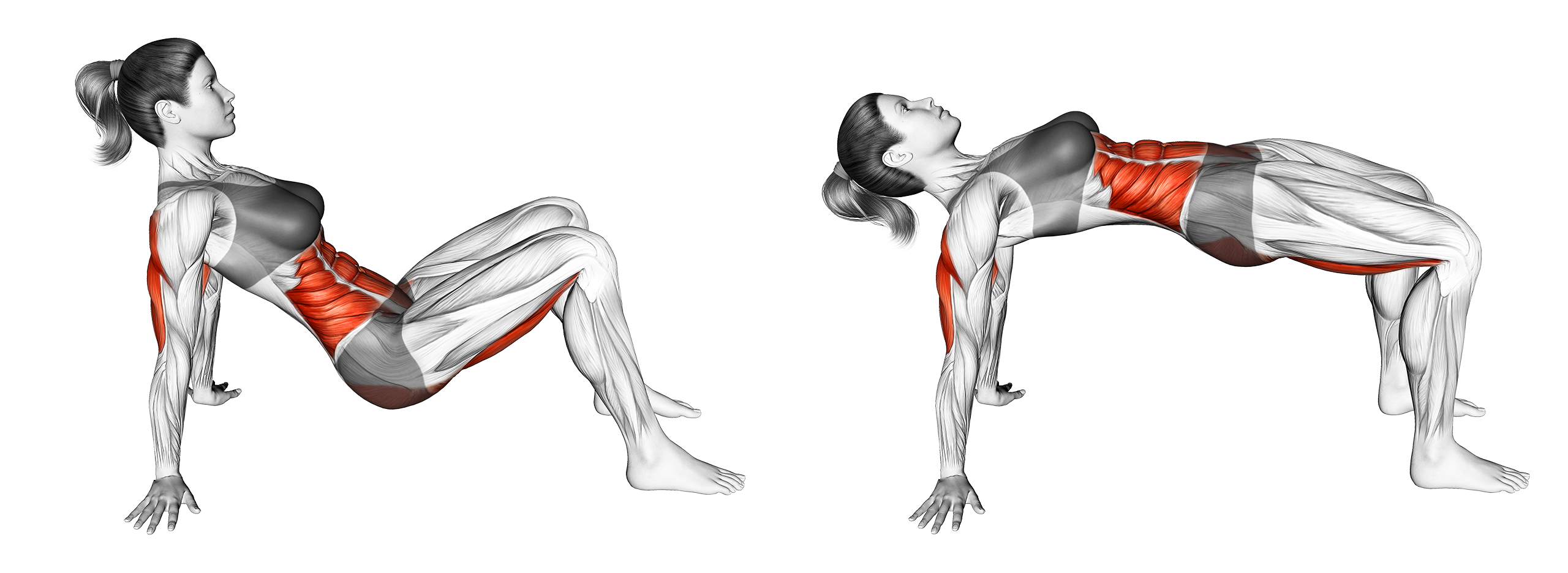 7 Best Glute Bridge Variations (with Pictures!) Inspire US