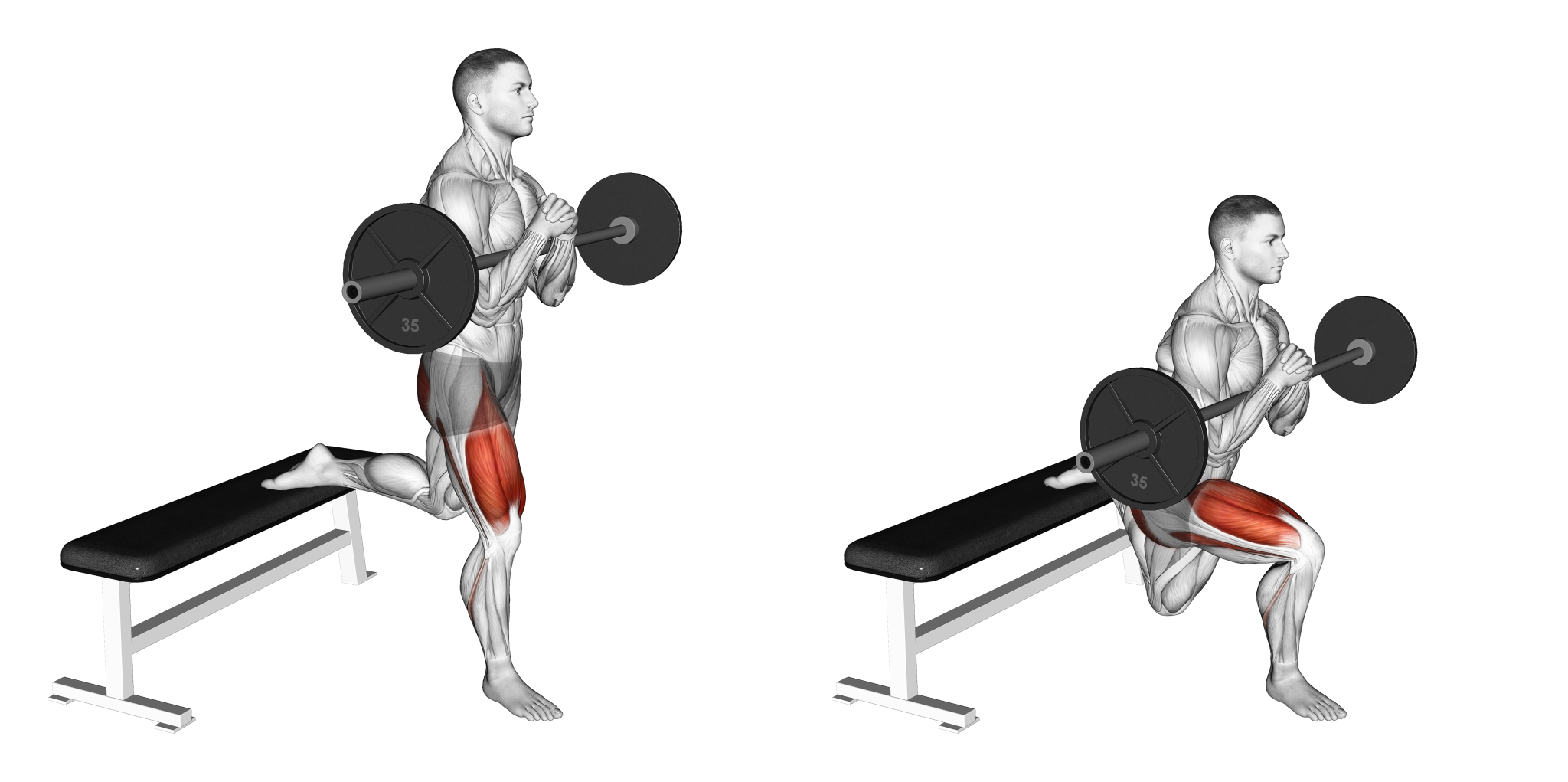 5 Best Bulgarian Split Squat Variations (with Pictures!) Inspire US