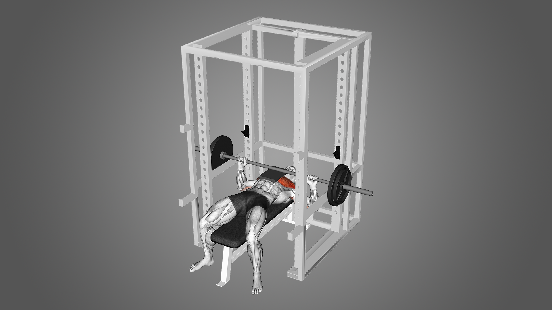 Board Bench Press Benefits, Muscles Worked, and More Inspire US