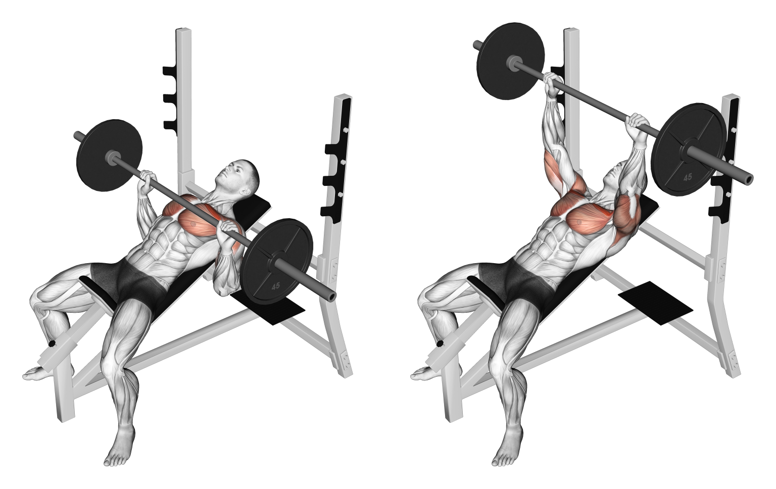 Incline Barbell Bench Press Benefits, Muscles Worked, and More