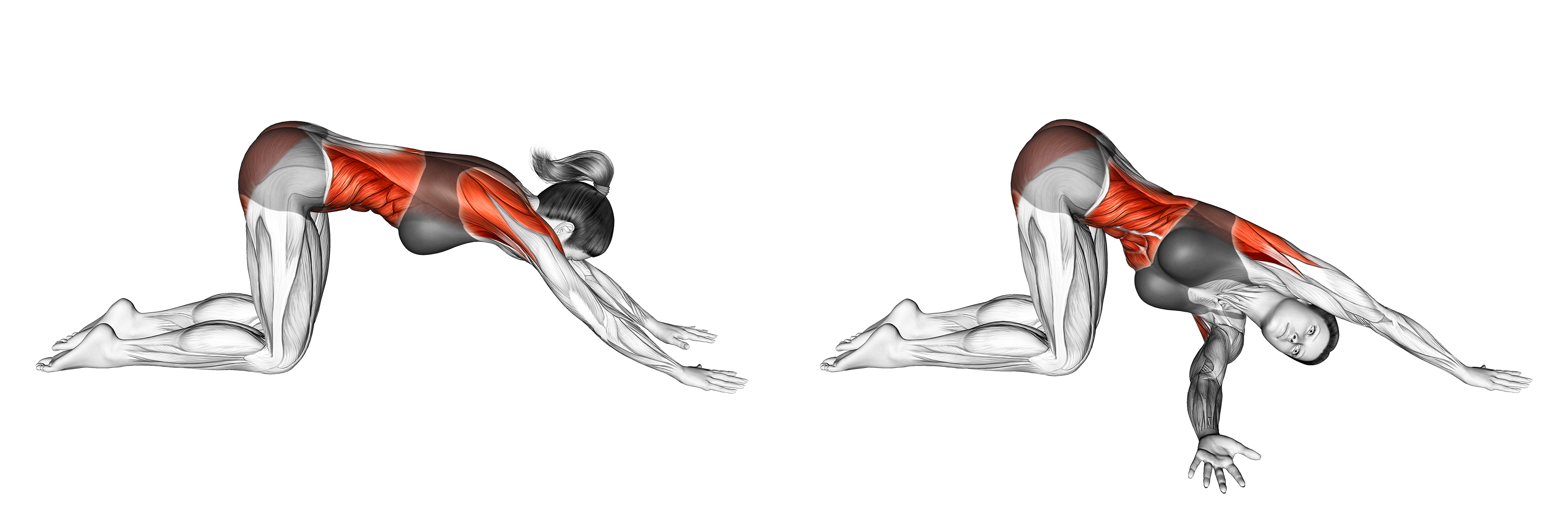 Thread the Needle Stretch Benefits, Muscles Worked, and More Inspire US