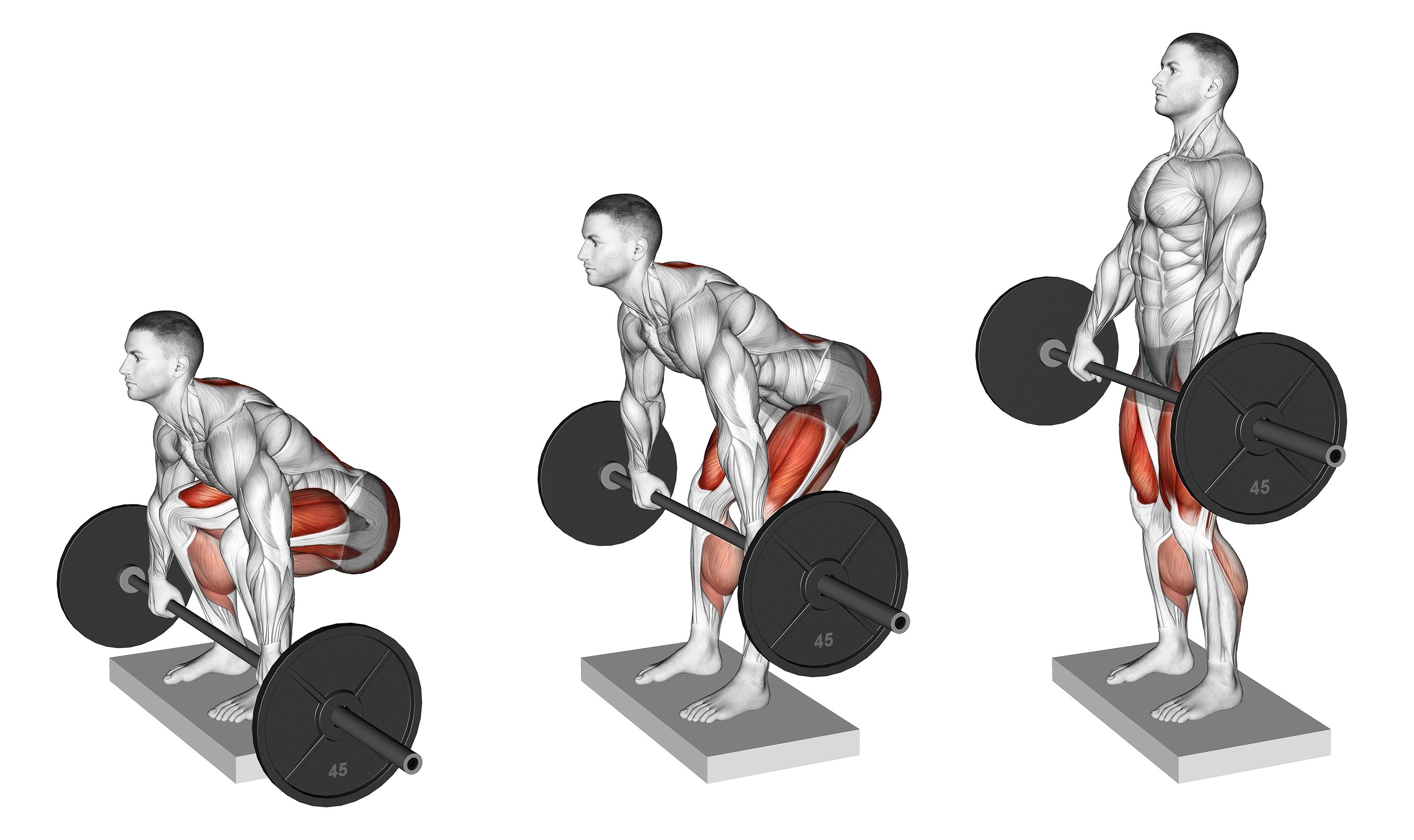 Deficit Deadlift Benefits, Muscles Worked, and More Inspire US