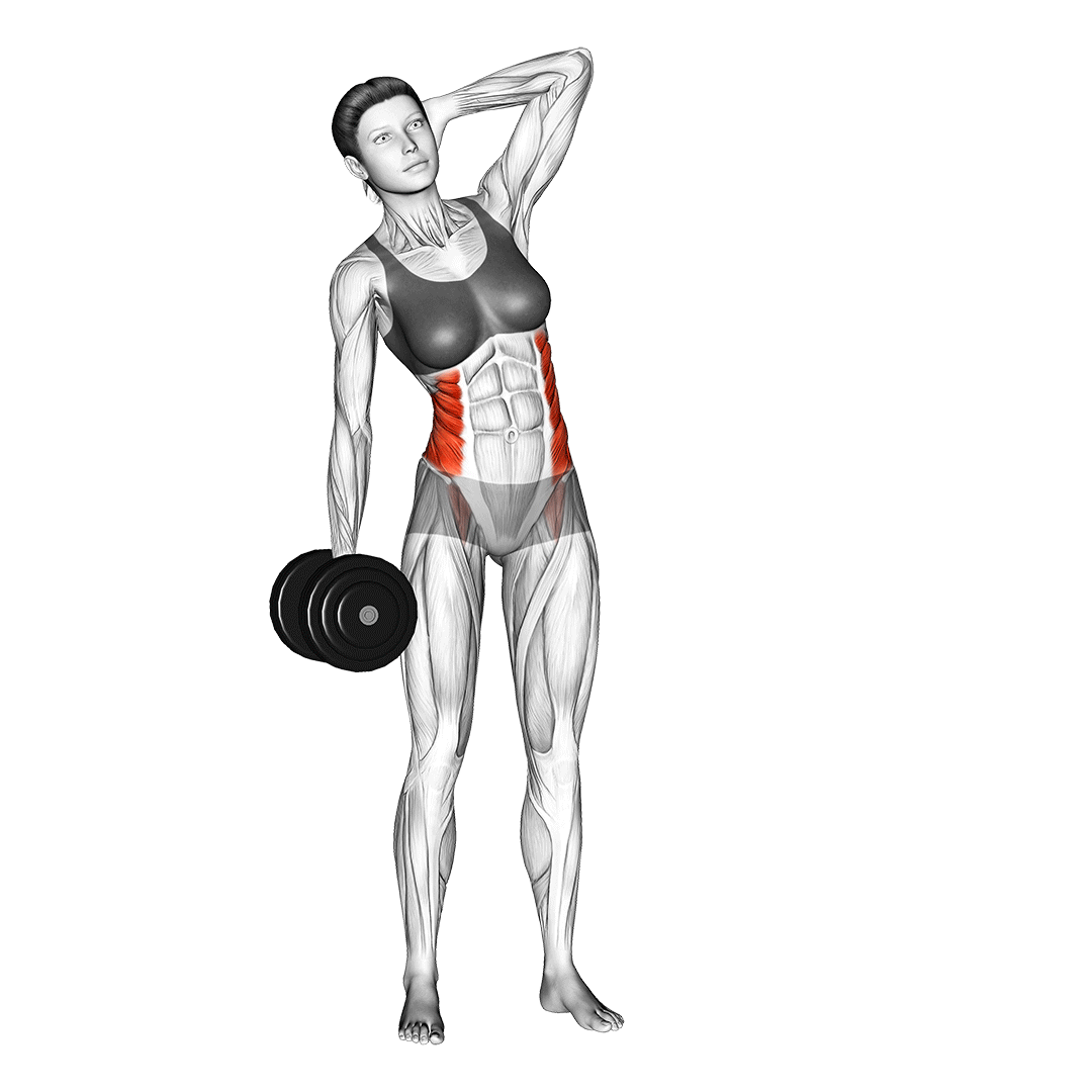 dumbbell side bend
