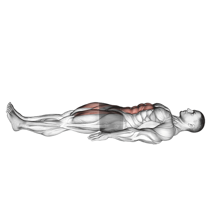 lying leg raise hold
