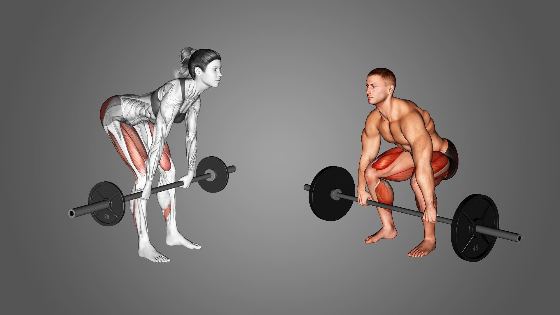 Romanian Deadlift vs Conventional Deadlift Differences Explained