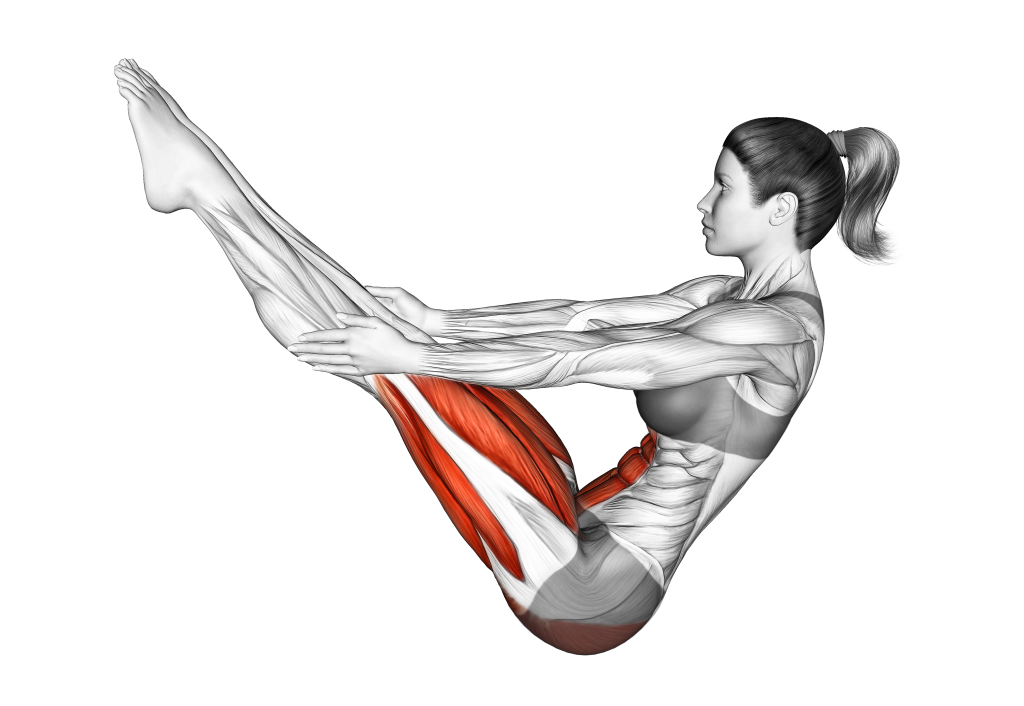boat pose muscles