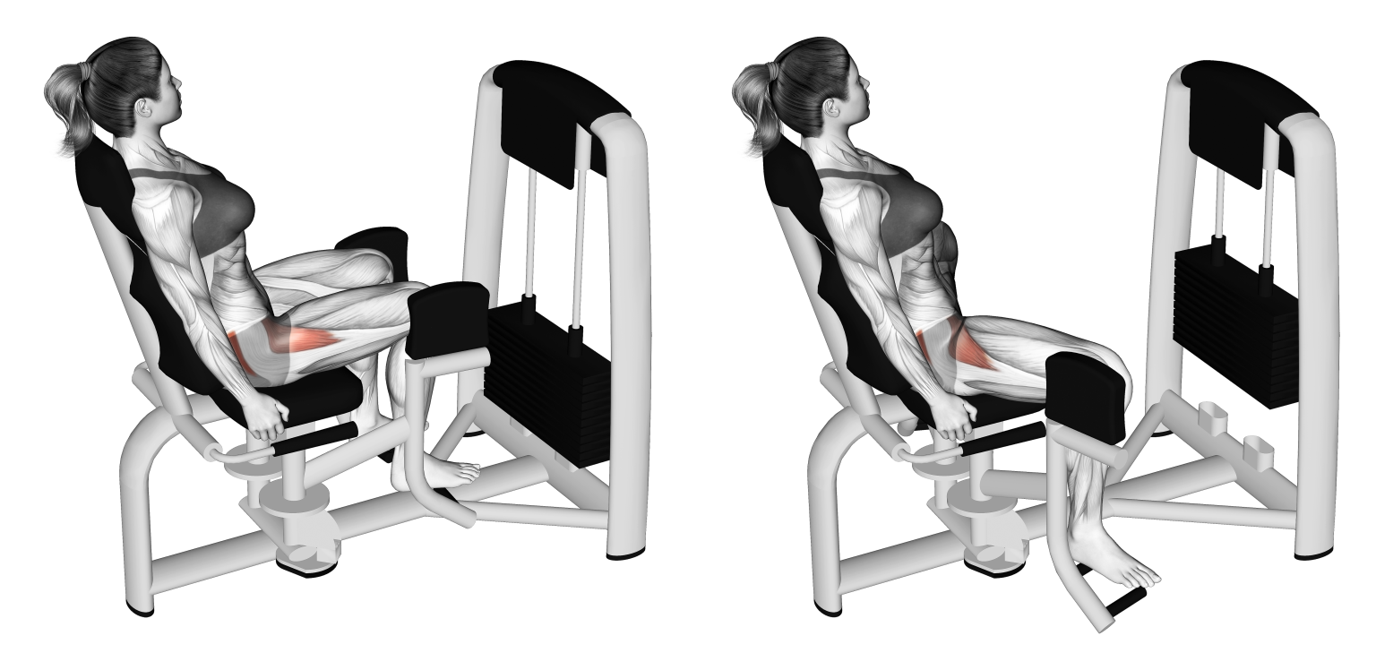 Machine Seated Hip Abduction Benefits, Muscles Worked, and More