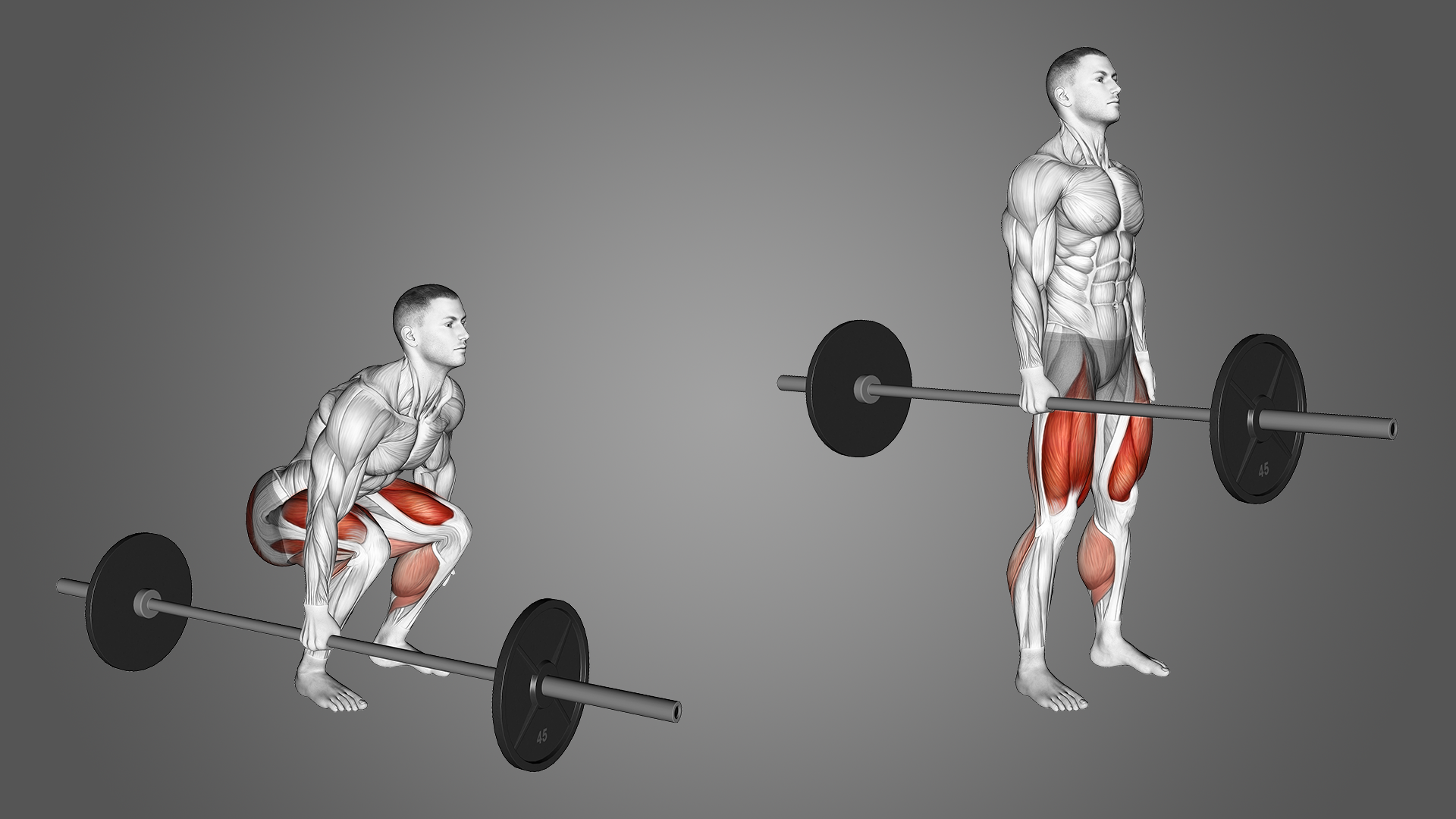 Suitcase Deadlifts Benefits, Muscles Worked, and More Inspire US