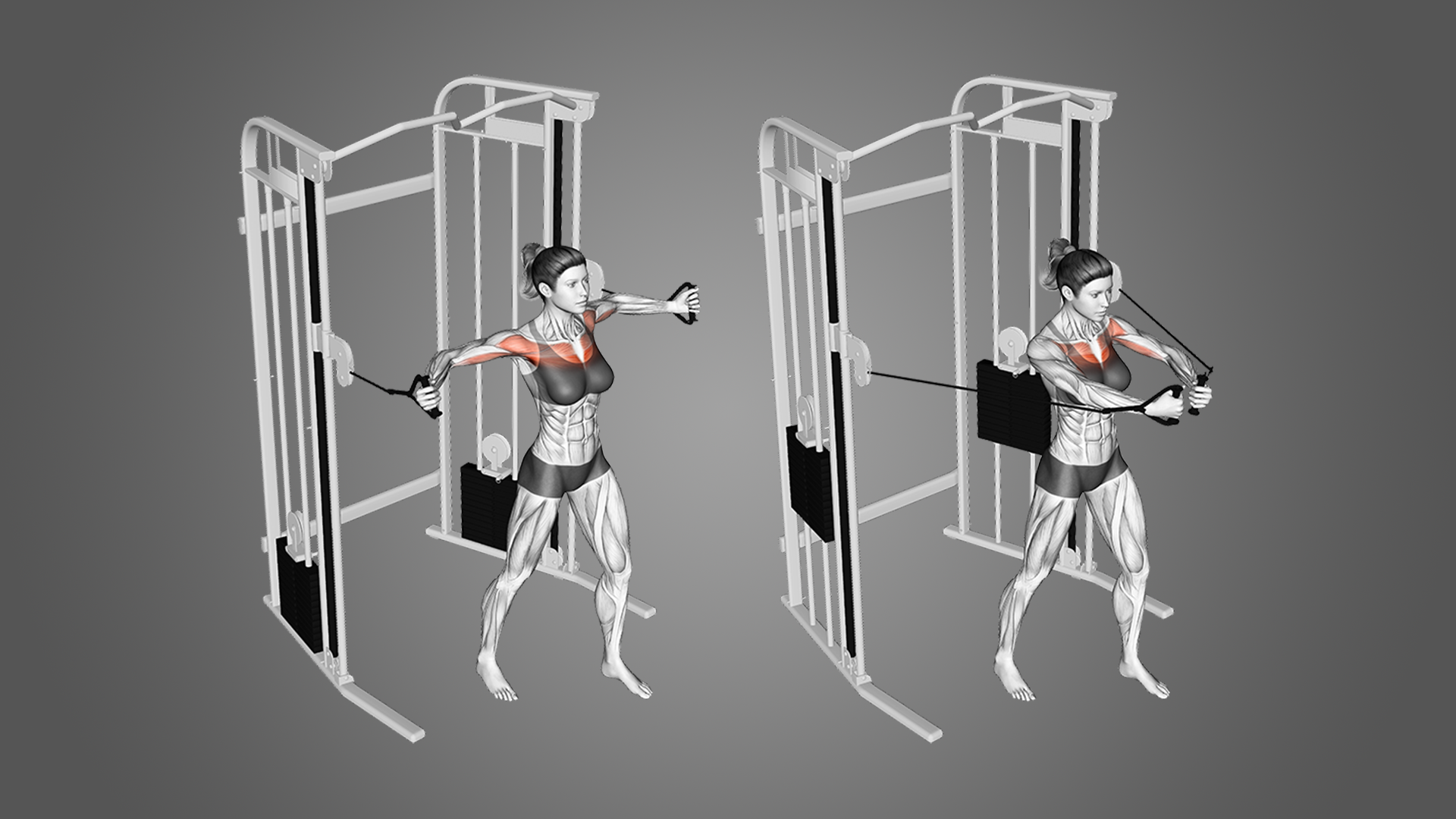 6 Best Cable Fly Alternatives (with Pictures!) Inspire US