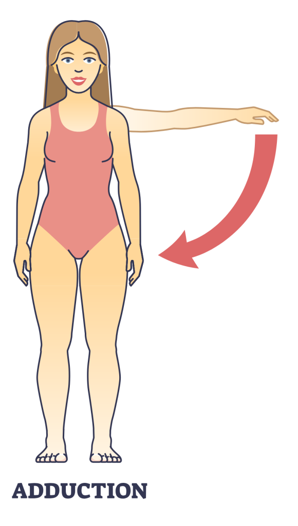 arm adduction
