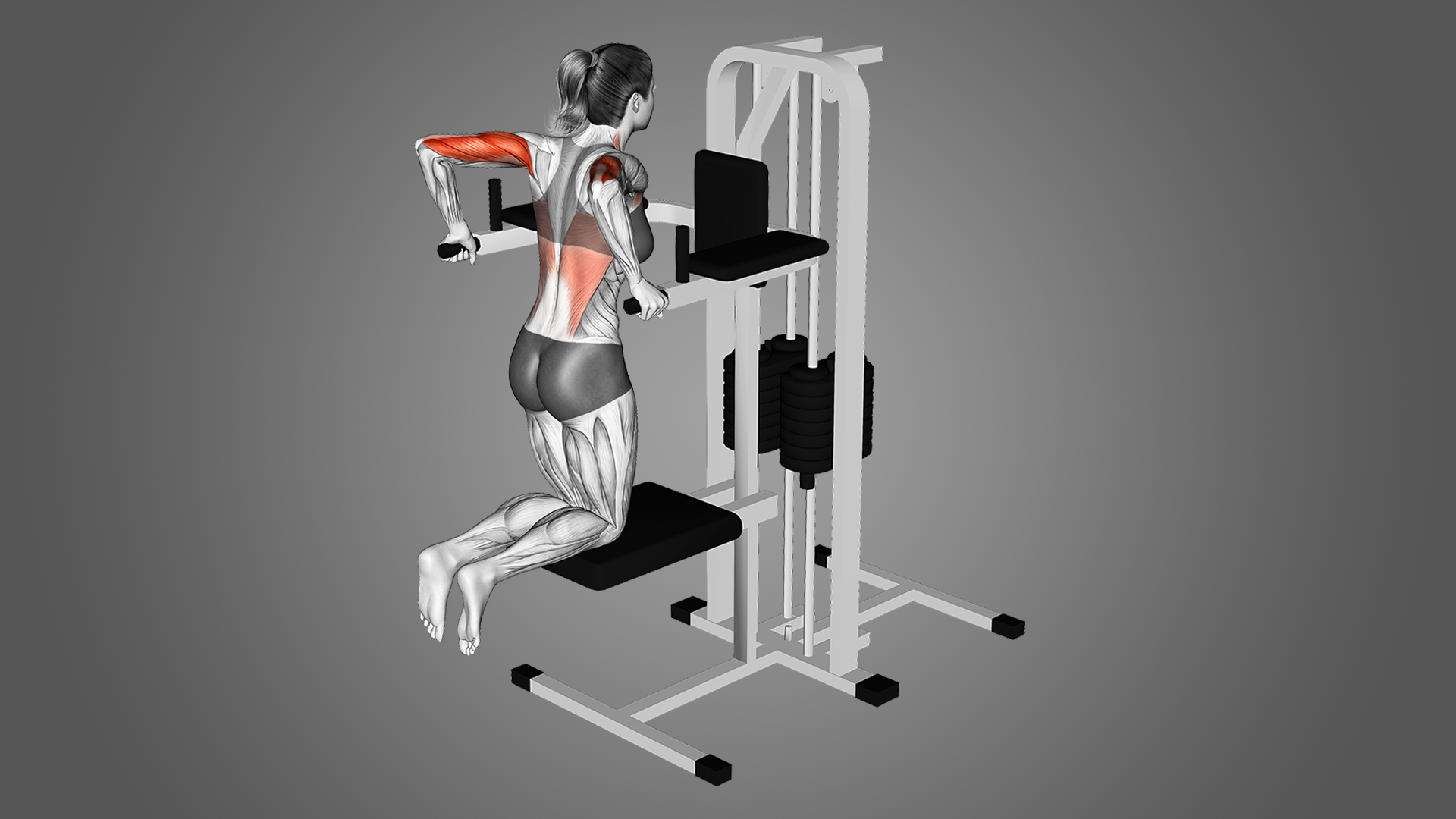 What are the Benefits of Doing Assisted Dips? Inspire US