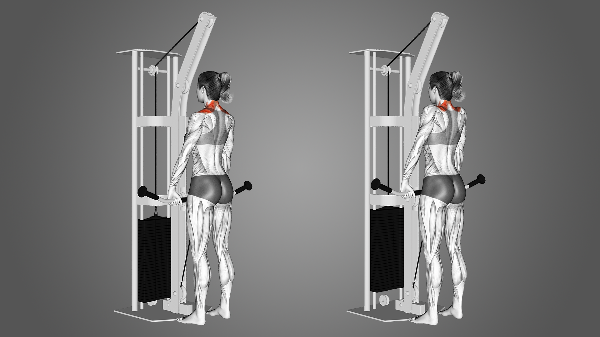 What are the Benefits of Doing Cable Shrugs? Inspire US