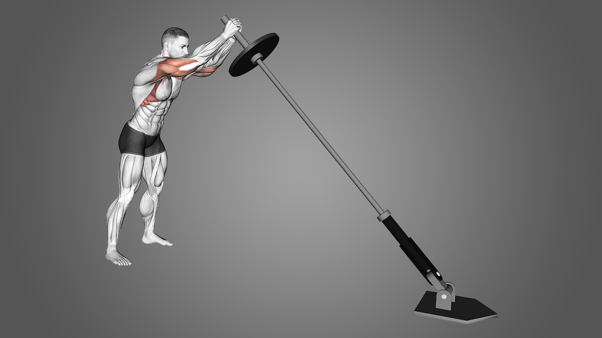 Landmine Press Exercise Overview Muscles Worked and More Inspire US