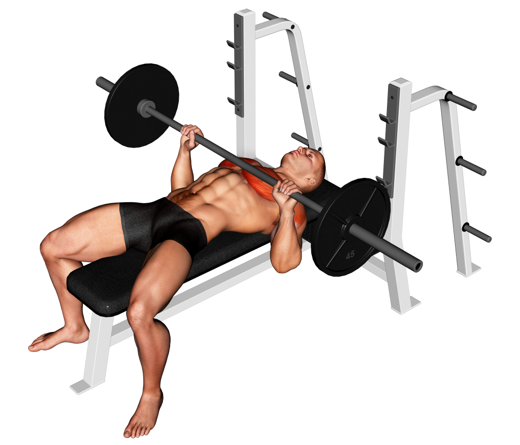 pause bench press muscles