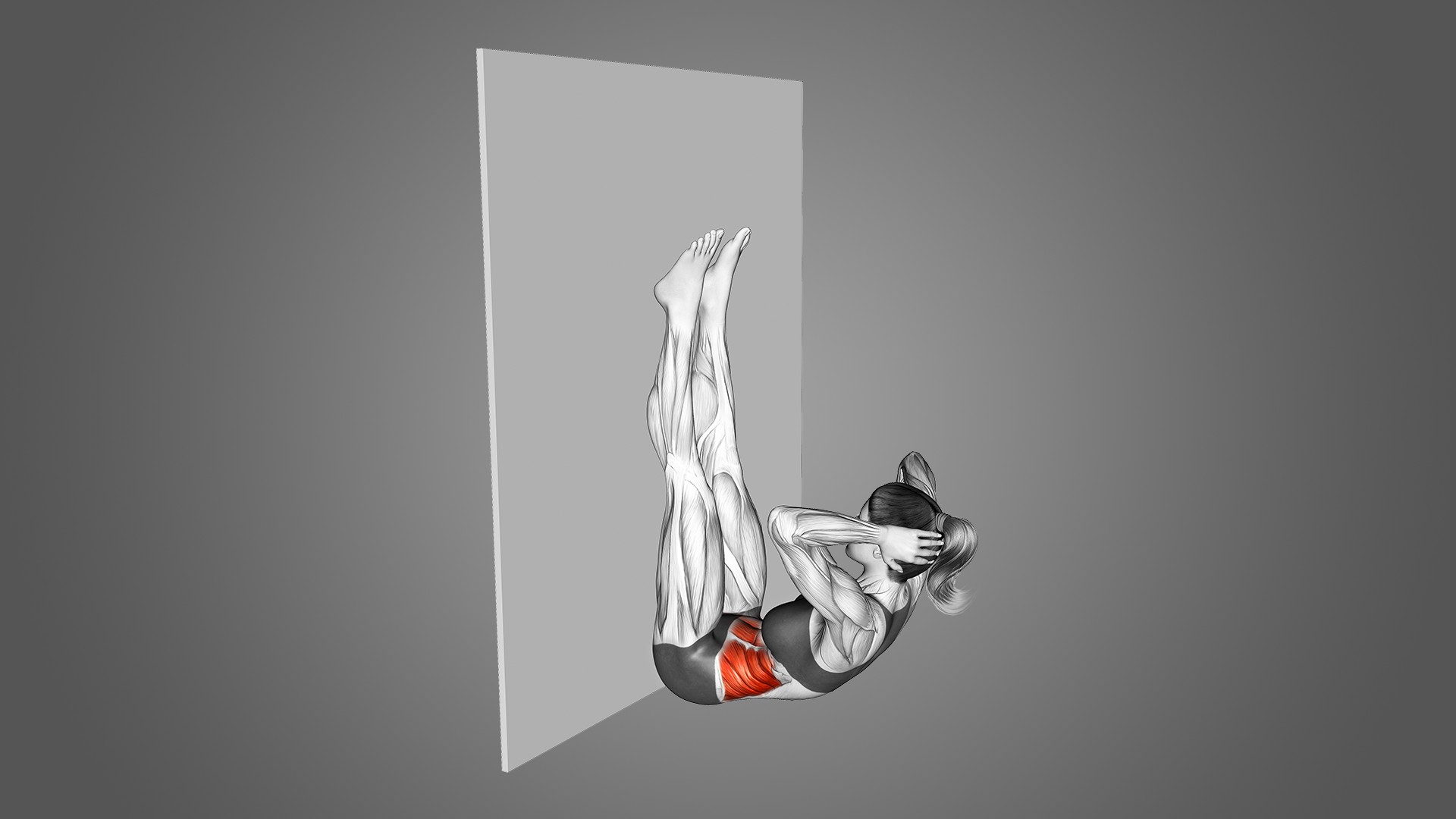 Wall Crunch Muscles Worked and More Inspire US