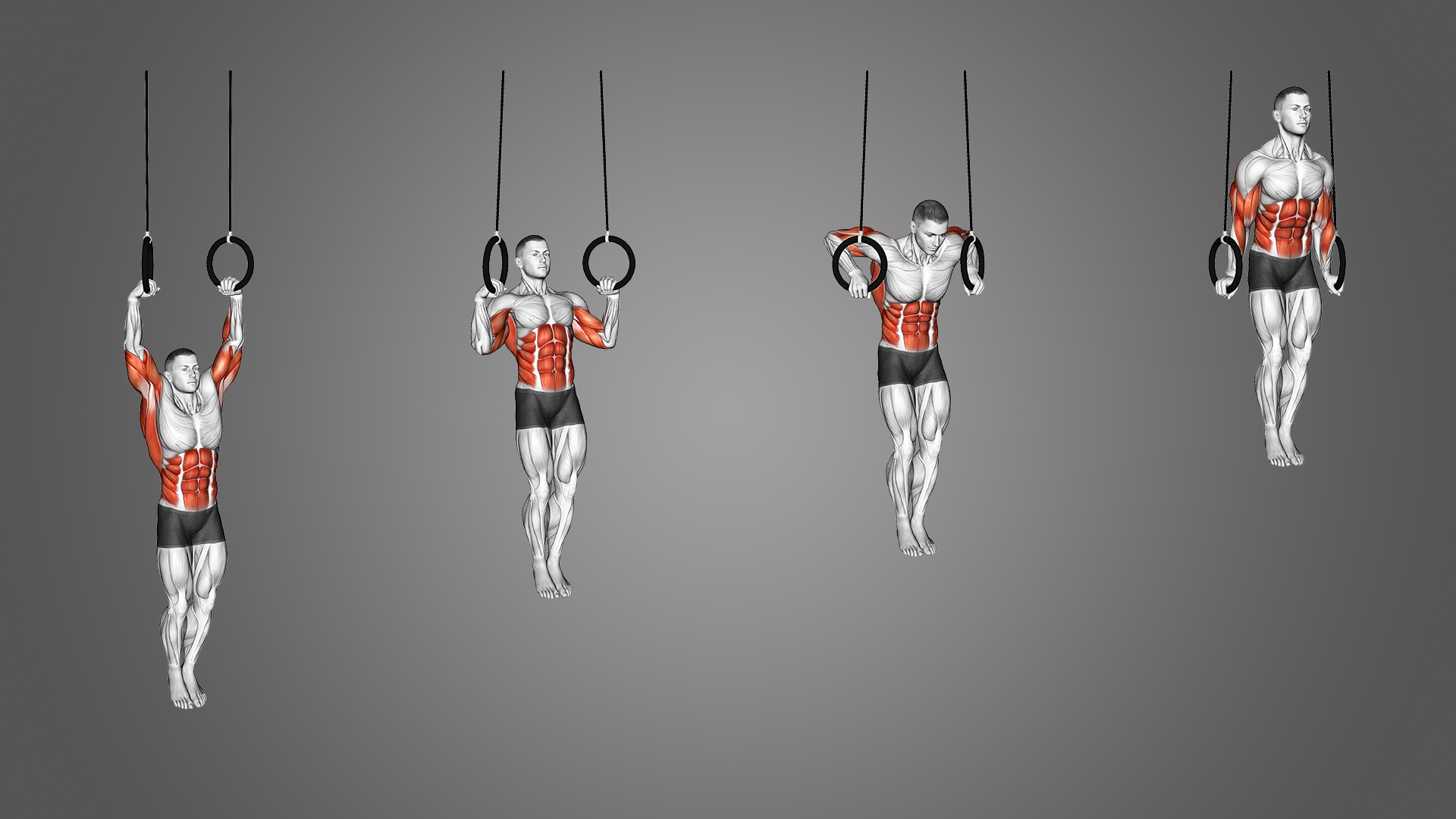 Ring Muscle Ups Muscles Worked and More Inspire US