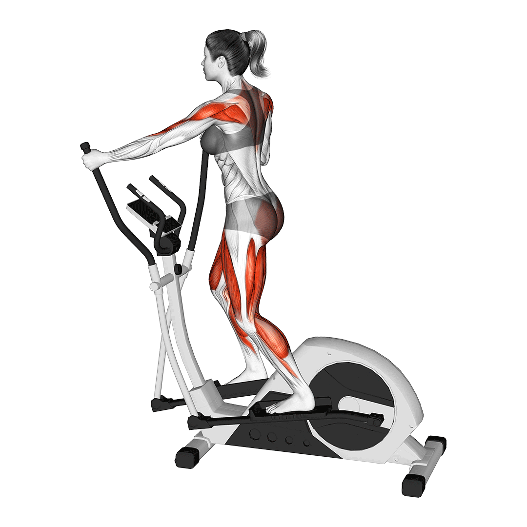 walking on elliptical